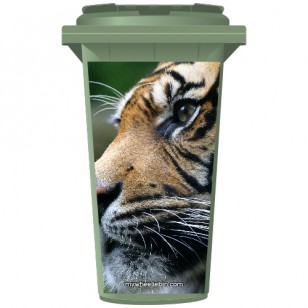 Big Cat Tigers Face Wheelie Bin Sticker Panel